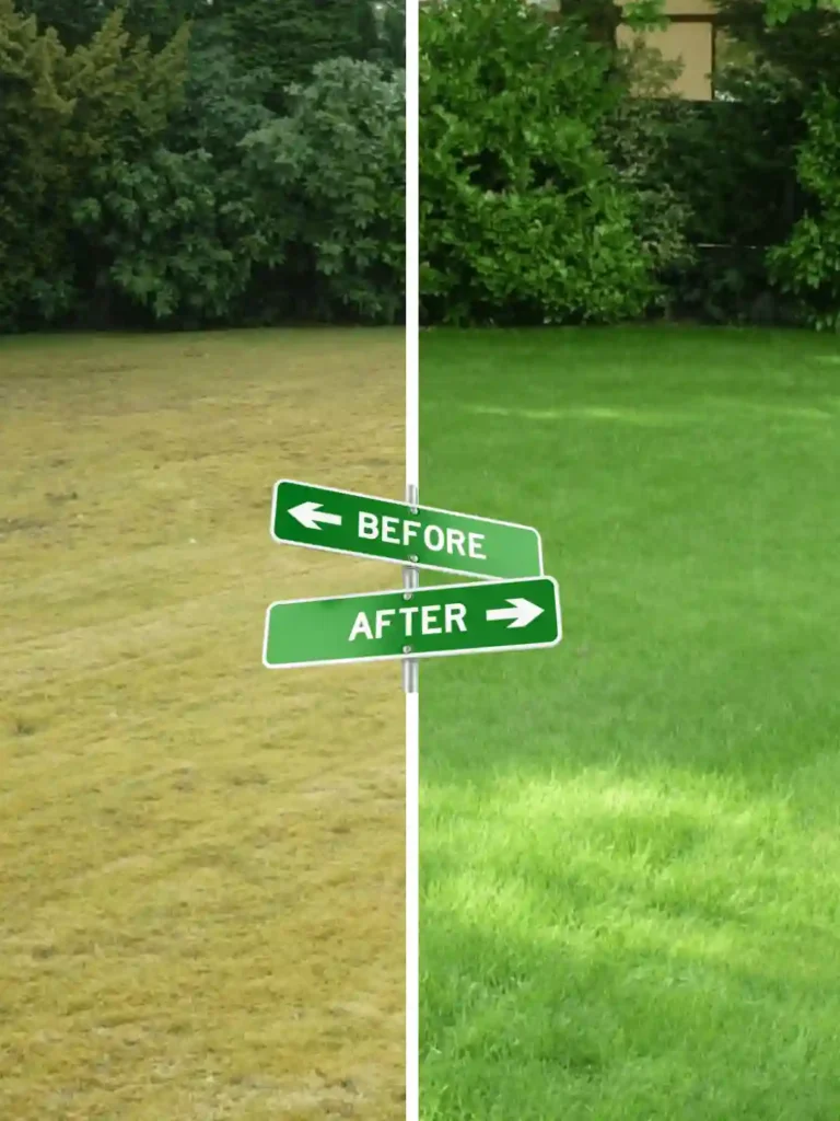 Complete Lawn Restoration By Preme Landscaping and Lawn Care Kenosha