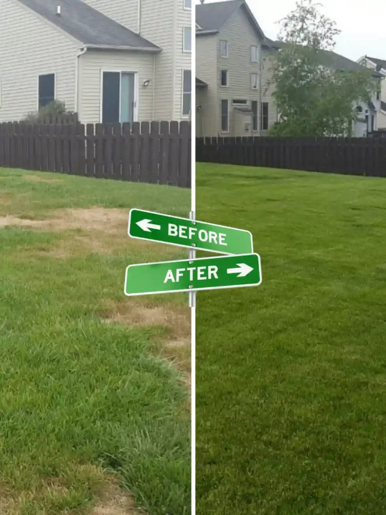 Lawn Renovation & Treatment By Preme Landscaping and Lawn Care Kenosha