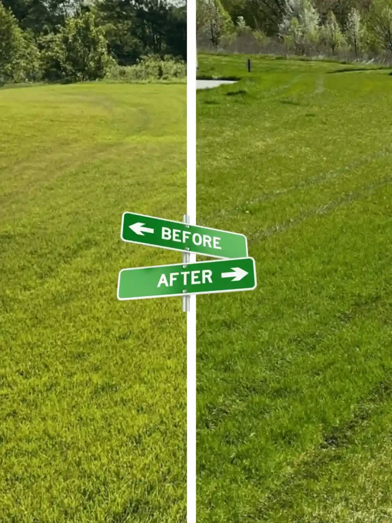 Lawn Renovation & Treatment By Preme Landscaping and Lawn Care Kenosha