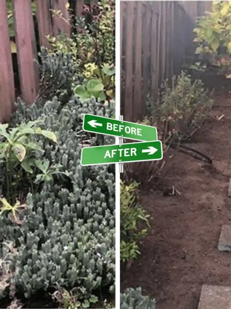Professional Bush Trimming & Shaping By Preme Landscaping and Lawn Care Kenosha