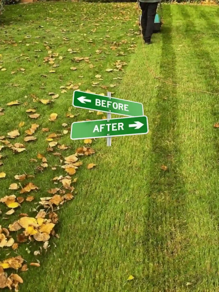 Lawn Mowing & Leaf Cleanup By Preme Landscaping and Lawn Care Kenosha