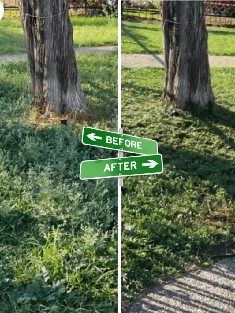 Weed Removal & Lawn Trimming By Preme Landscaping and Lawn Care Kenosha