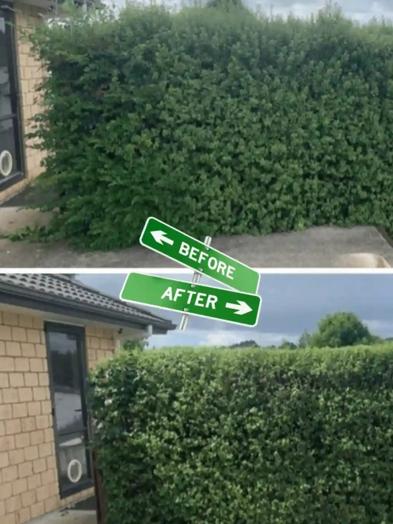 Bush Trimming & Shaping By Preme Landscaping and Lawn Care Kenosha