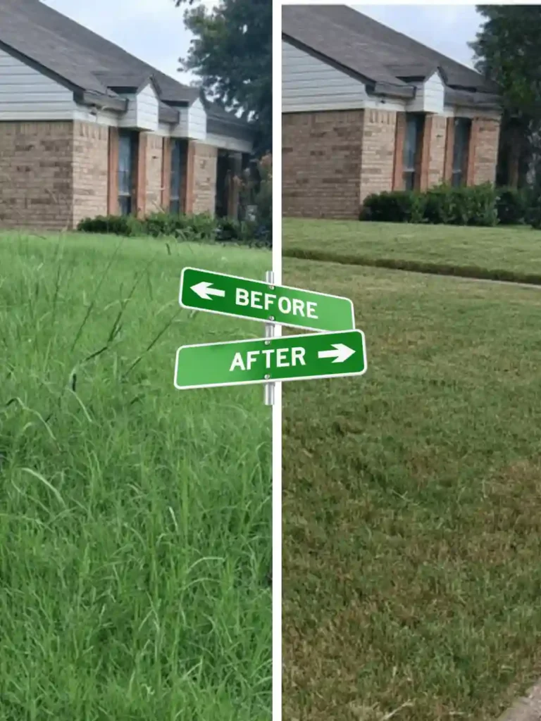 Weed Removal & Lawn Trimming By Preme Landscaping and Lawn Care Kenosha