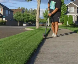 Professional Lawn Care Company in Kenosha